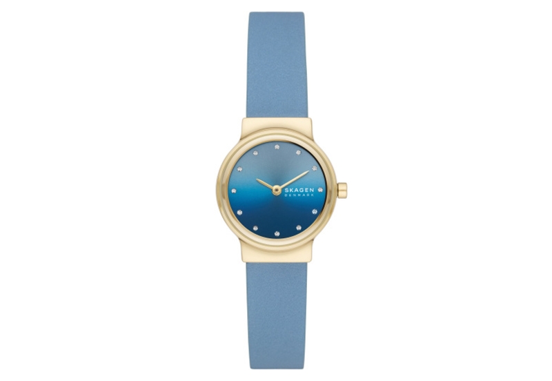 Skagen watch strap SKW3059