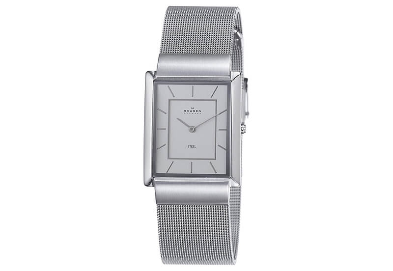 Skagen watch band 224LSS