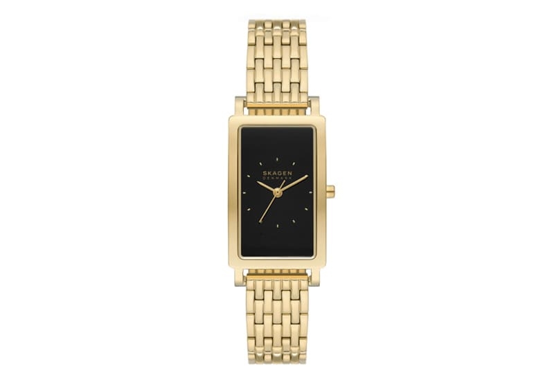 Skagen Watch Strap SKW3113