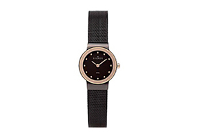 Skagen watch band 358XSDDR