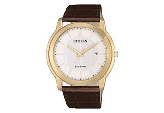 Citizen watchband AW1212-10A