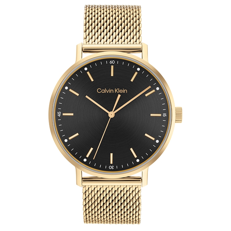 Calvin Klein watch-band 25200049 Modern Mesh