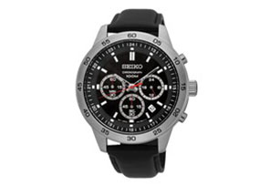 Seiko watchband SKS519P2