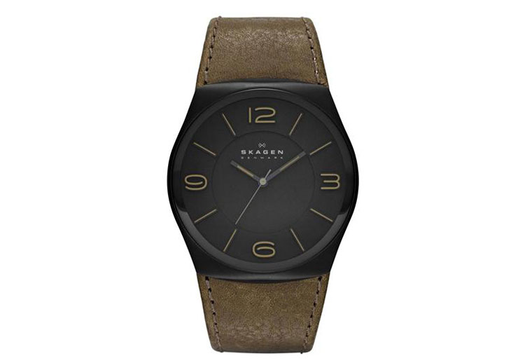 Skagen watchstrap SKW6042