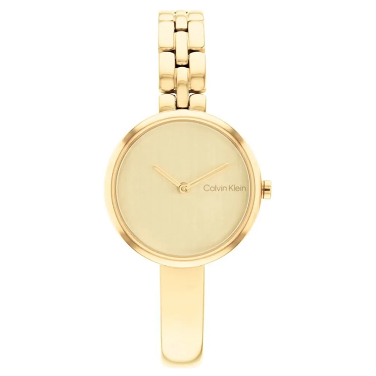 Calvin Klein watch-band 25200279 Bangled