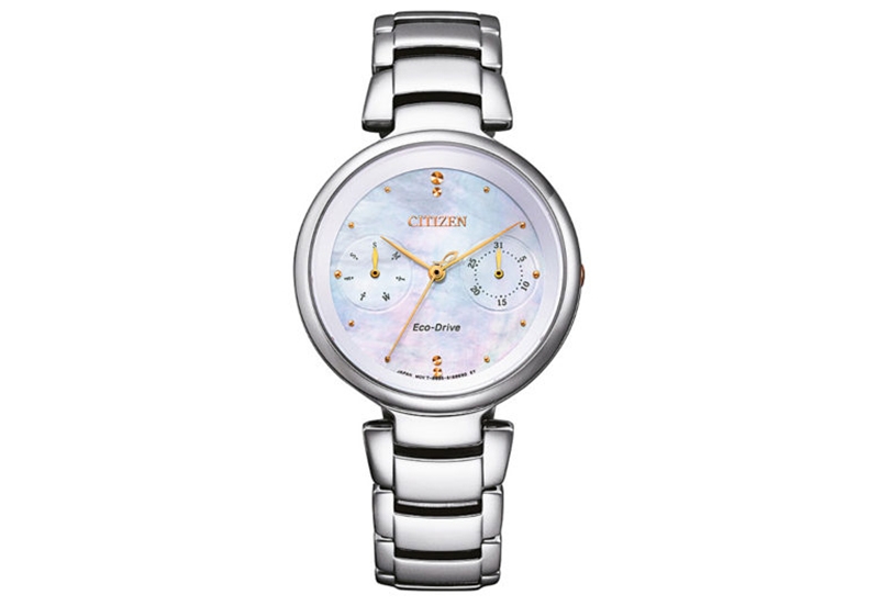 Citizen Citizen L FD1106-81D watch strap