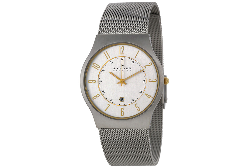 Skagen watchstrap 233XLSGS