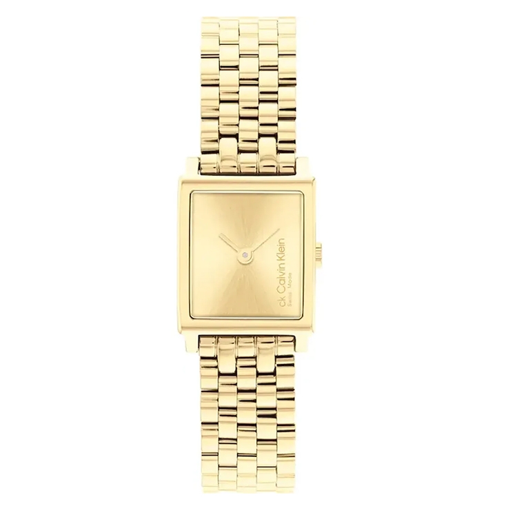 Calvin Klein watch-band 25000004 Swiss Elongated