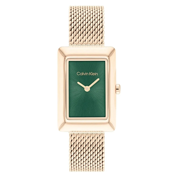 Calvin Klein watch-band 25200395 Styled