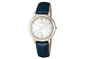 Citizen watchband EX1493-13A