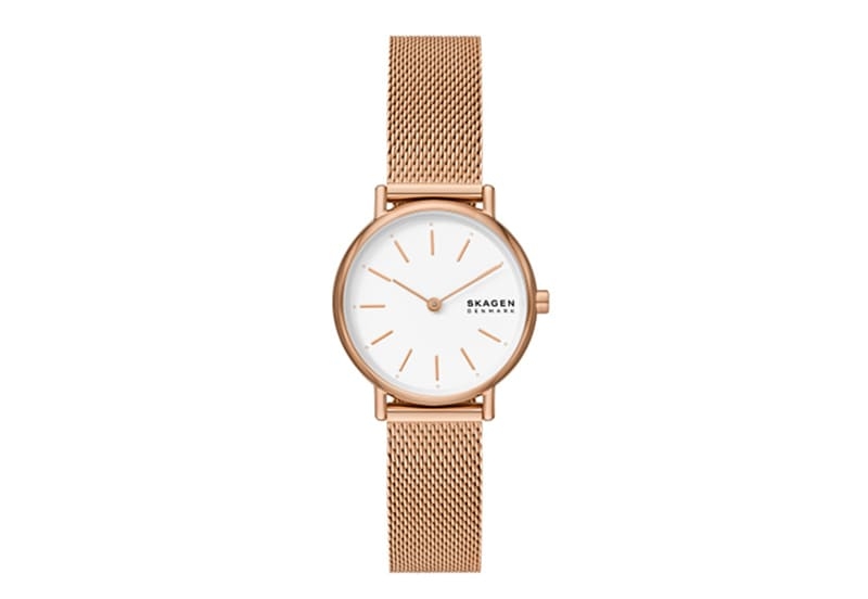 Skagen Watch Strap SKW1153