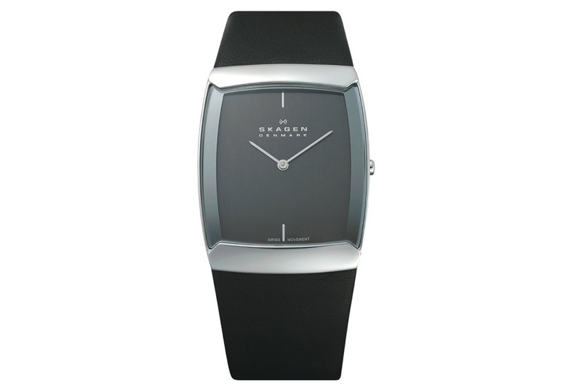 Skagen watchstrap 584LSLM