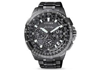 Citizen watchband CC9025-51E