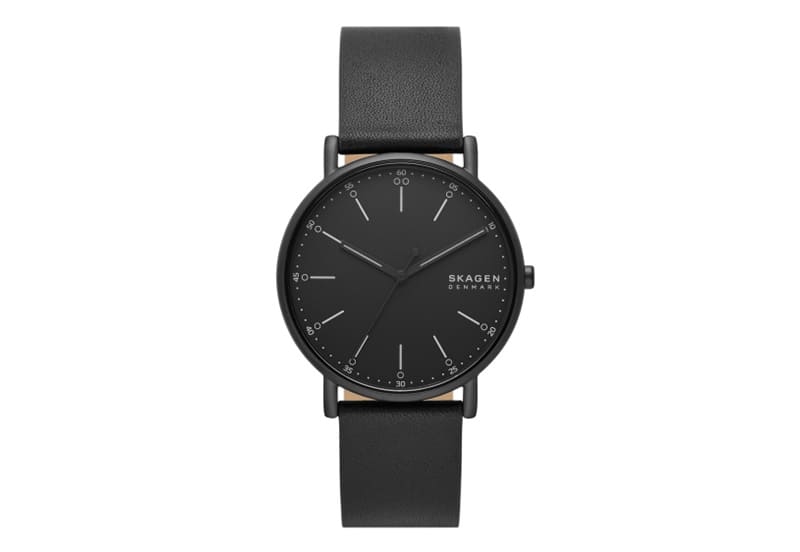 Skagen Watch Strap SKW6902