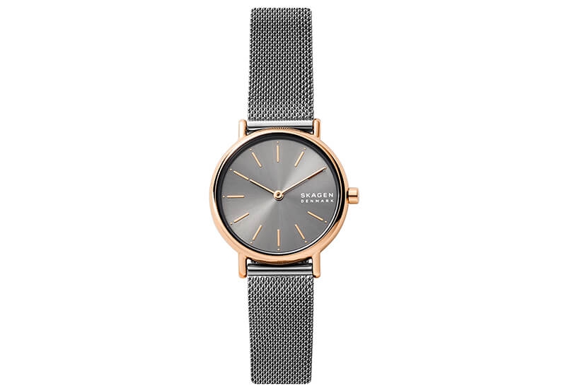 Skagen watch strap SKW2996