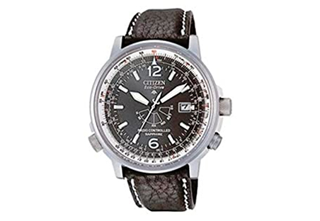 Citizen watchband AS2031-06E