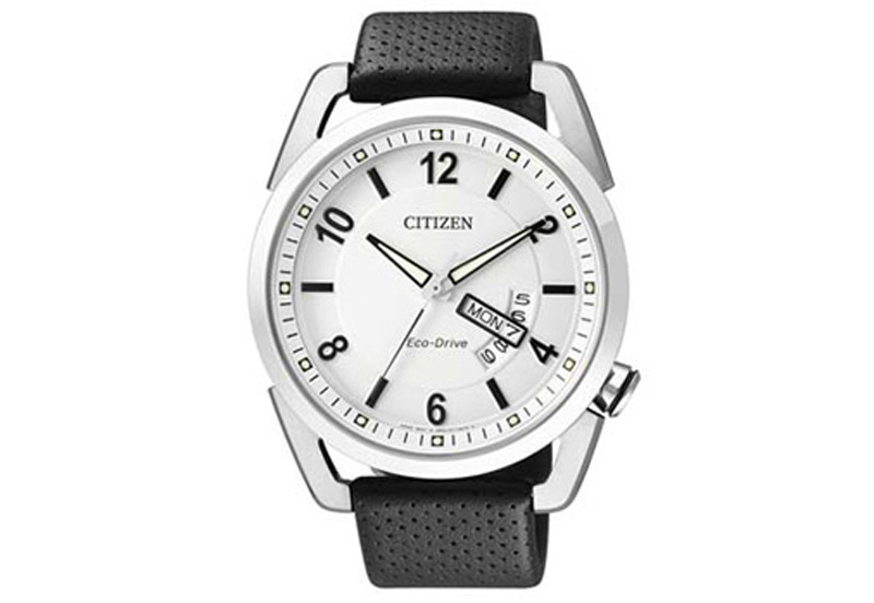 Citizen watchstrap ProMaster AW0010-01AE