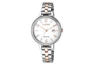 Citizen watchband EW2446-81A