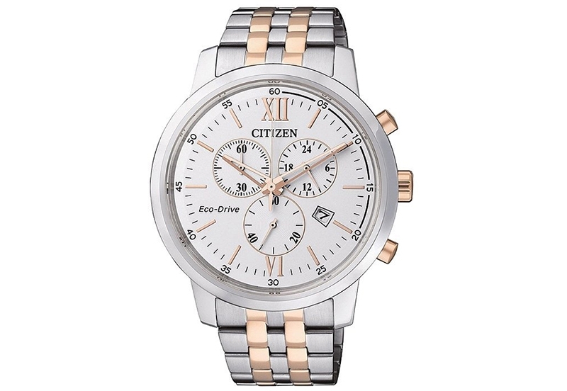 Citizen Watch Strap AT2305-81A