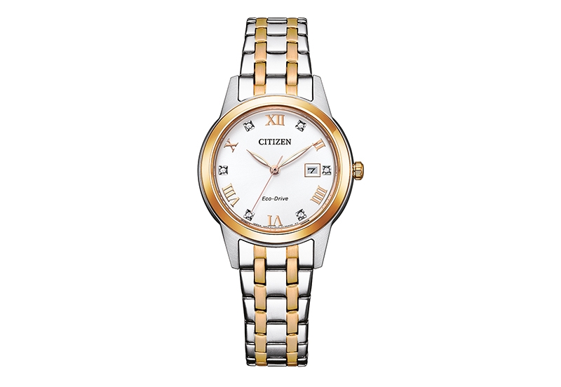 Citizen Watch strap FE1246-85A