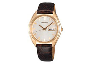 Seiko watchband SJN032P2
