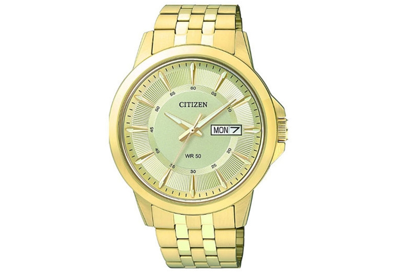 Citizen  BF2013-56PE watch strap
