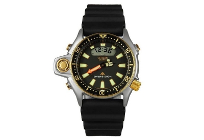 Citizen watch strap JH0004-01E