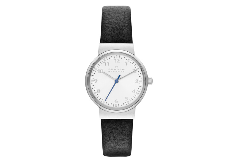Skagen watch band SKW2188