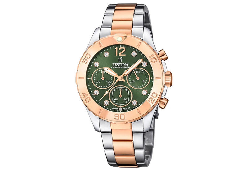 Festina Watch strap F20605-2