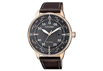 Citizen watchband BM7393-16H