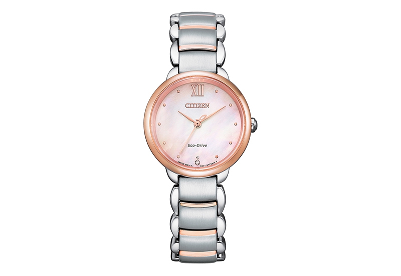 Citizen Watch strap EM0924-85Y