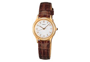 Seiko watchband SWJ092P1