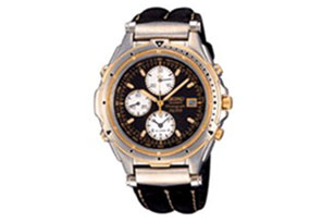 Seiko watchband SDWB96P1