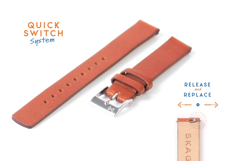Skagen watch band SKW2434