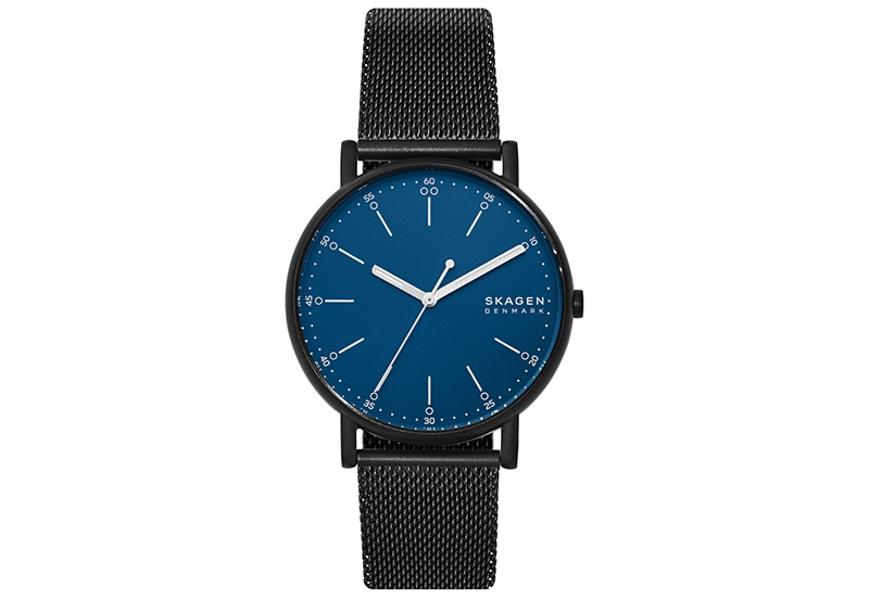 Skagen watch strap SKW6655