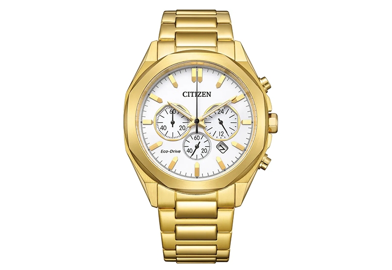 Citizen Watch strap CA4592-85A