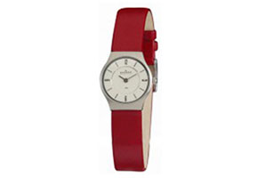 Skagen watch band 233XSSLR