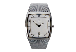 Skagen watch band 380LSGS