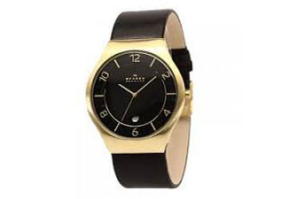 Skagen watch band SKW6145