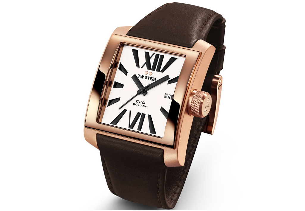 Watchstrap TW STEEL CE3007