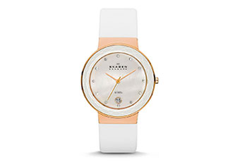 Skagen watch band SKW2034