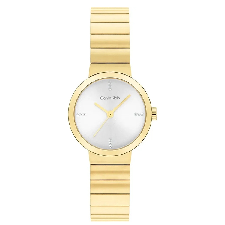 Calvin Klein watch-band 25200416 Precise