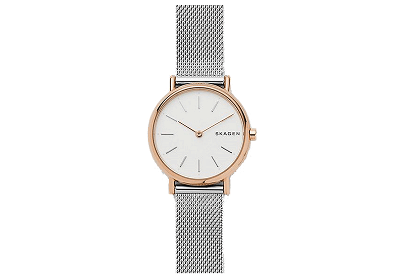 Skagen watch band SKW1106