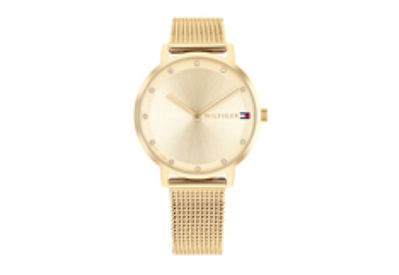 Tommy Hilfiger strap TH1782728