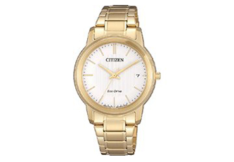 Citizen watchband FE6012-89A