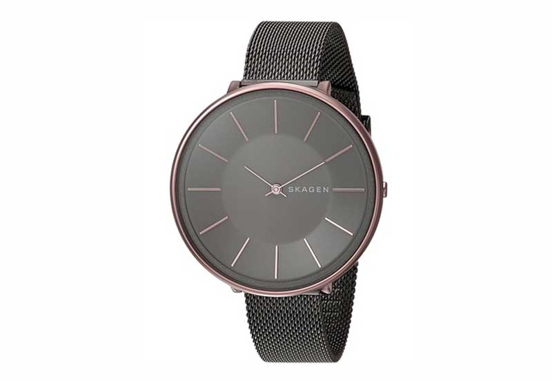 Skagen watch strap SKW2689