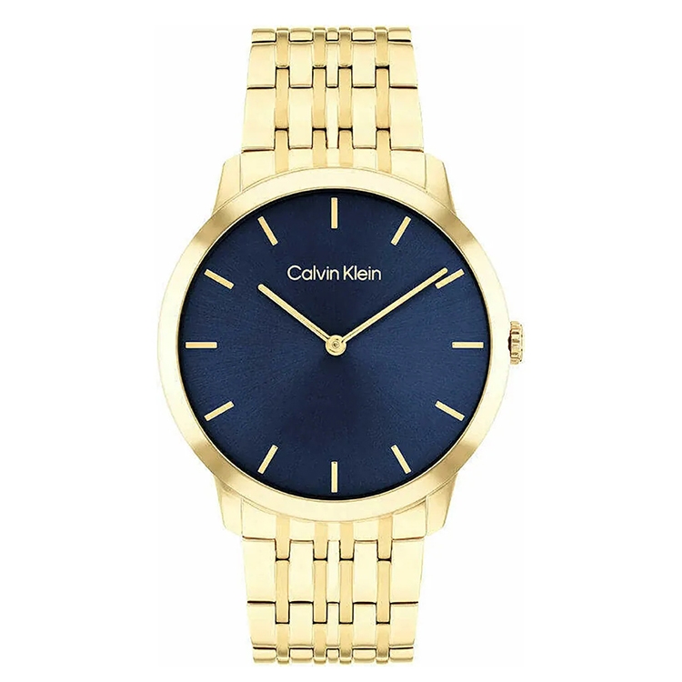 Calvin Klein watch-band 25300007 Intrigue