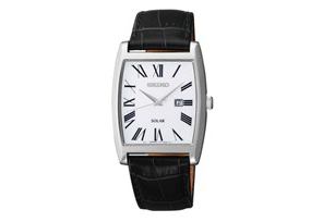 Seiko watchband SUT891P1