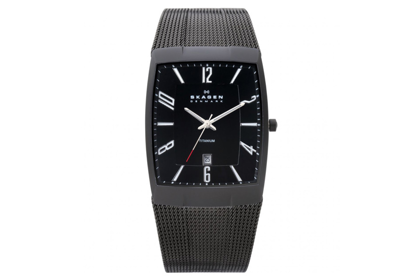 Skagen watch band 851LTBB