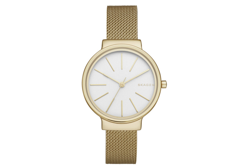 Skagen watchstrap SKW2477
